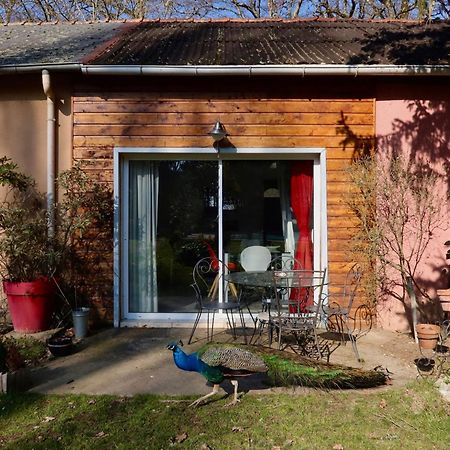 La Faisanderie Saint-Florent-sur-Cher Extérieur photo