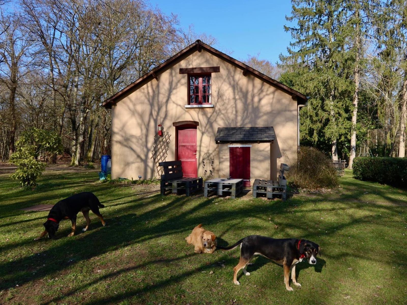 La Faisanderie Saint-Florent-sur-Cher Extérieur photo