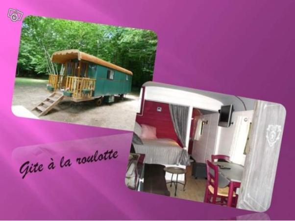 La Faisanderie Saint-Florent-sur-Cher Extérieur photo