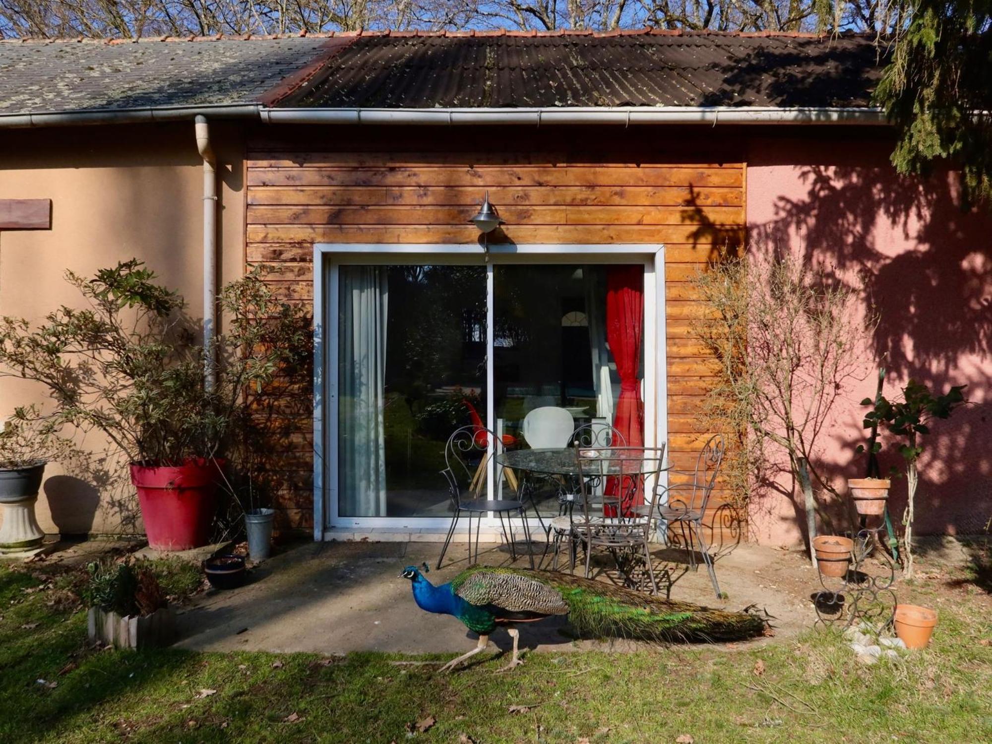 La Faisanderie Saint-Florent-sur-Cher Extérieur photo
